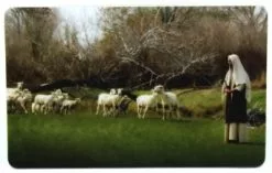 Scott Sumner Recommend Holder Come Follow Me