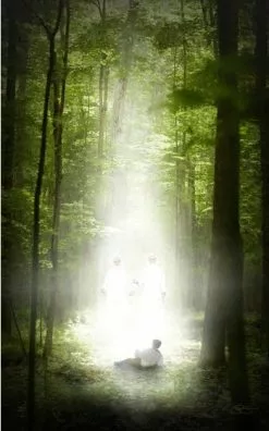 Scott Sumner Recommend Holder Sacred Grove