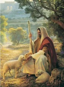 Greg Olsen Recommend Holder Lost No More