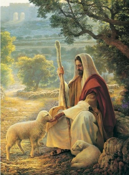 Greg Olsen Recommend Holder Lost No More 3 Greg Olsen Recommend Holder Lost No More