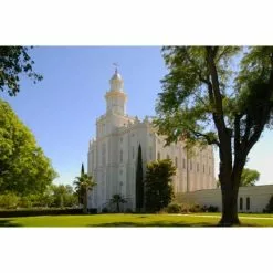Hank DeLespinasse Recommend Holder St. George Utah Temple Color Photo No Flip