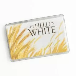 Recommend Holder Field Is White