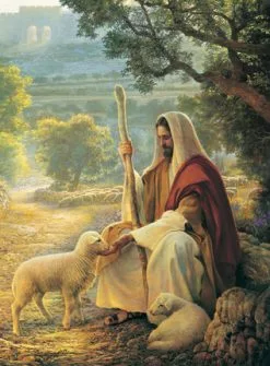 Greg Olsen Recommend Holder Lost No More (Spanish)