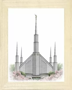 Brent Borup Boise Temple 8x10