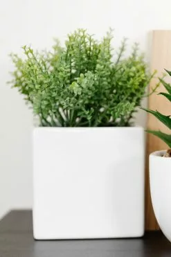 Marjoram Square Ceramic Pot White 7.5 Inch