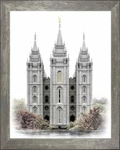 Brent Borup Salt Lake Temple 15x18 Gray Frame