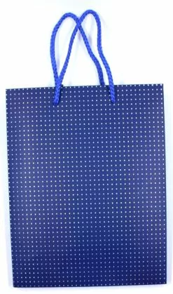 Gift Bag White Polka Dot Blue
